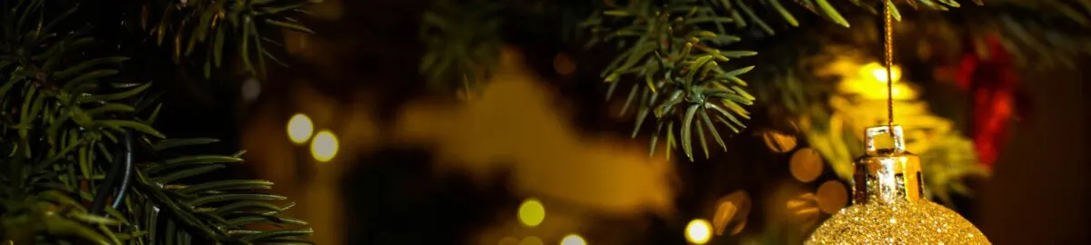 pexels valeria vinnik 51738 246351